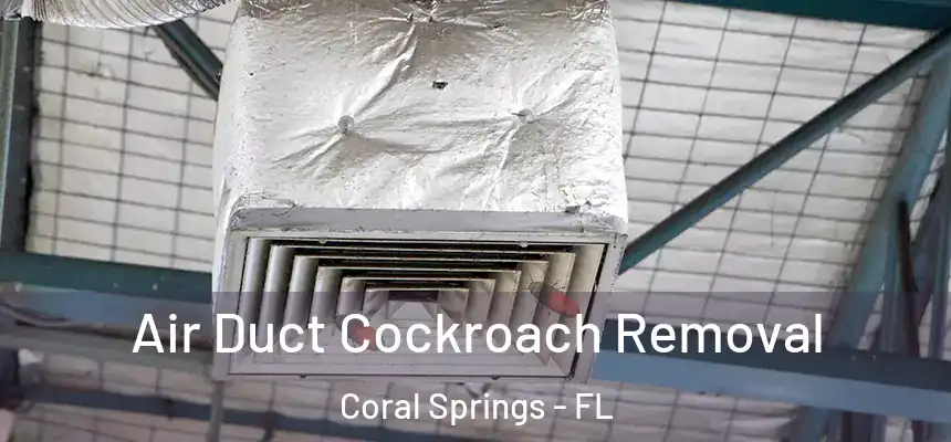 Air Duct Cockroach Removal Coral Springs - FL