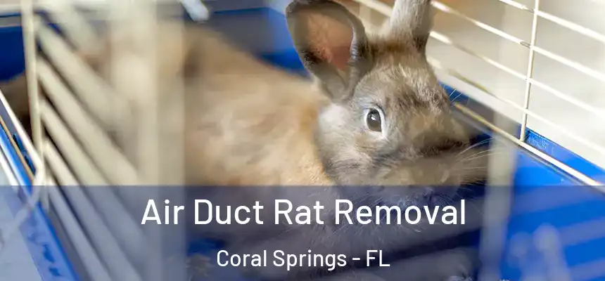 Air Duct Rat Removal Coral Springs - FL