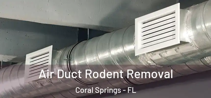Air Duct Rodent Removal Coral Springs - FL