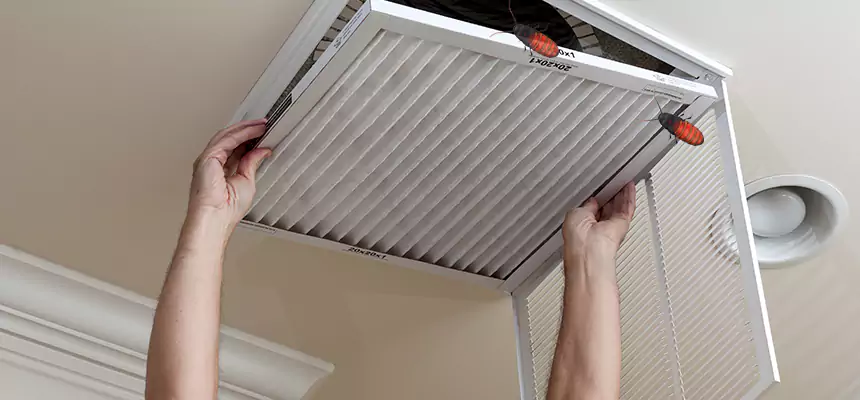 Preventive Cockroach-Proofing for Ducts in Coral Springs