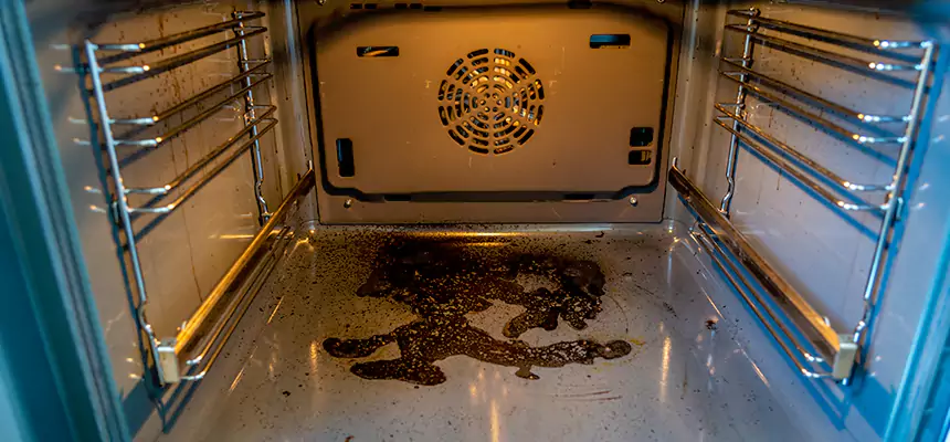 Our Dryer Vent Mold Cleaning Services in Coral Springs, FL