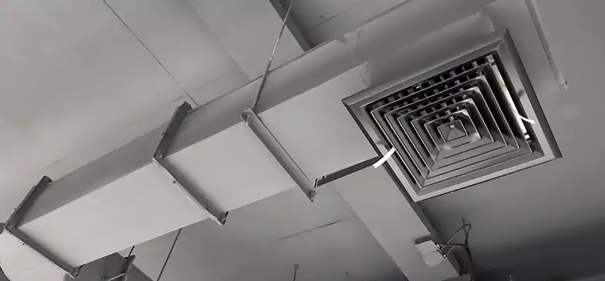 Our Pest Removal From Ducts Services in Coral Springs, FL