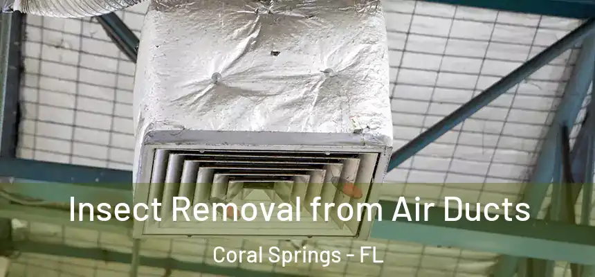 Insect Removal from Air Ducts Coral Springs - FL