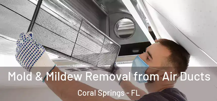 Mold & Mildew Removal from Air Ducts Coral Springs - FL