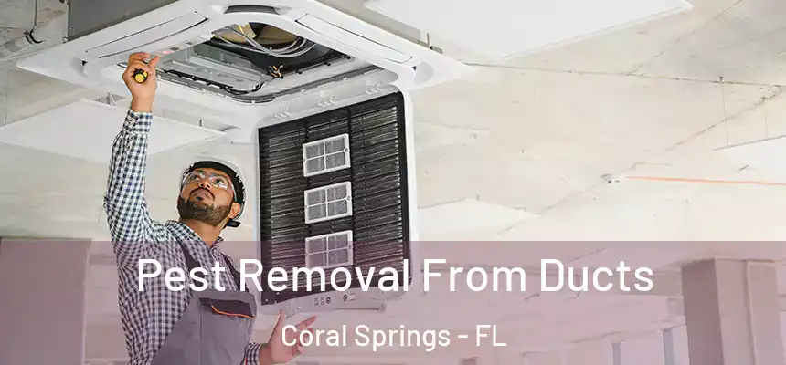 Pest Removal From Ducts Coral Springs - FL