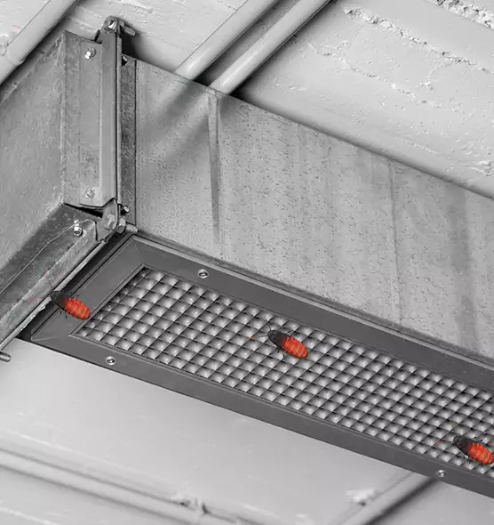 About Air Duct Cockroach Removal in Coral Springs, FL