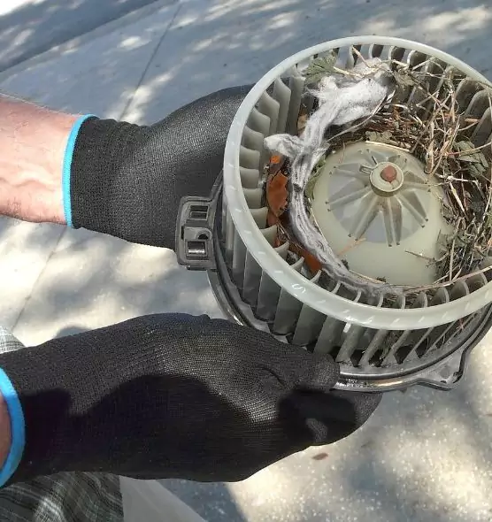 About Air Duct Mice Removal in Coral Springs, FL