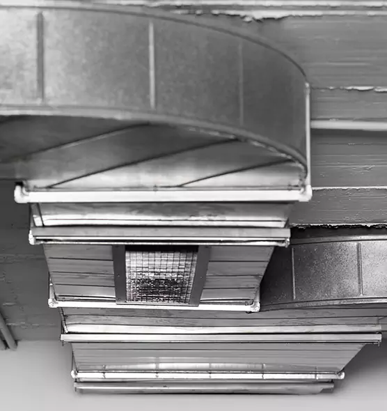 Professional Air Duct Pet Hair Removal in Coral Springs, FL