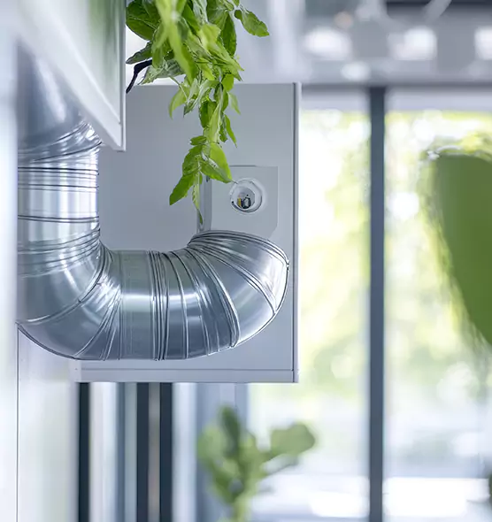 Professional Eco-Safe Dryer Vent Cleaning in Coral Springs, FL