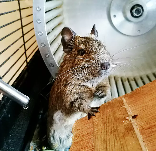 Why Homeowners & Businesses Trust Us Coral Springs, FL