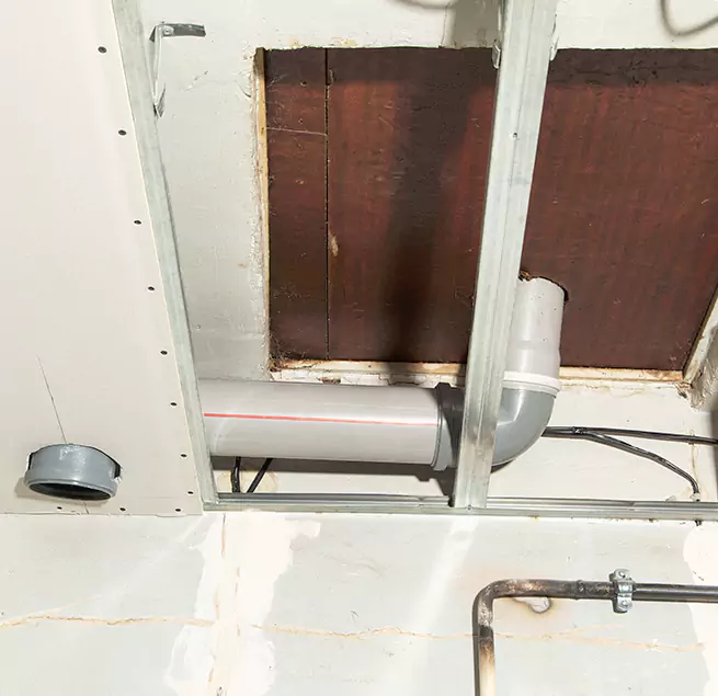 Why Homeowners & Businesses Trust Us in Coral Springs, FL?