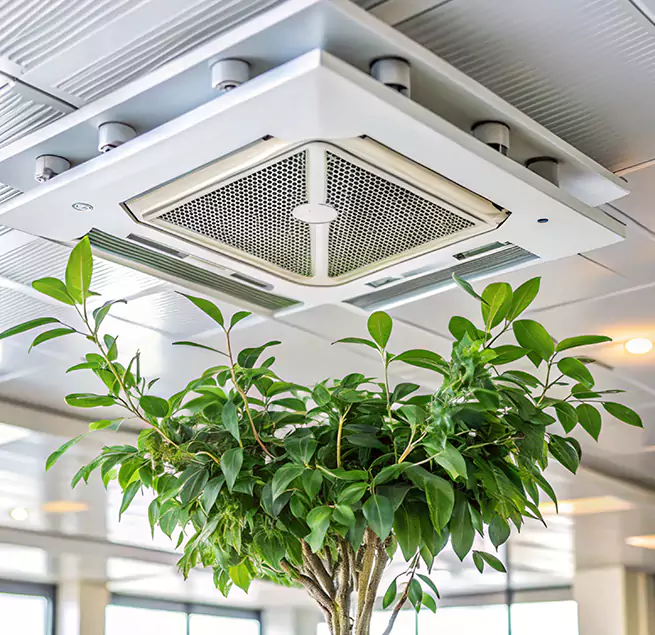 Why Homeowners & Businesses Trust Us in Coral Springs, FL