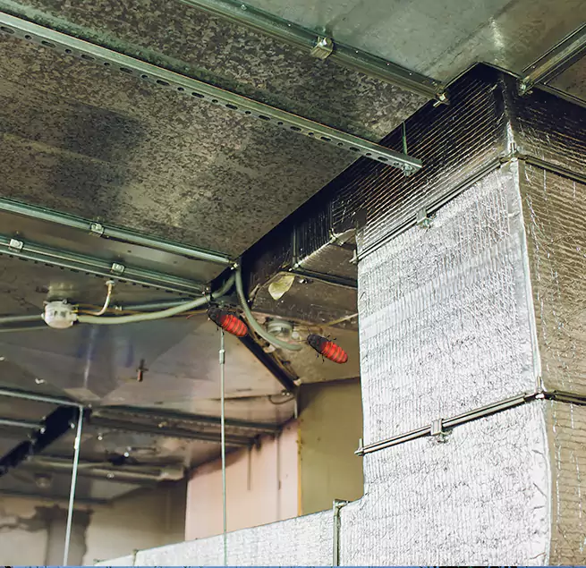 Why Homeowners & Businesses Trust Us Coral Springs, FL?